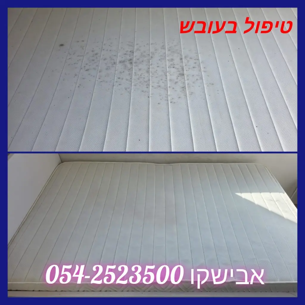 WhatsApp Image 2025-12-30 at 14.22.39