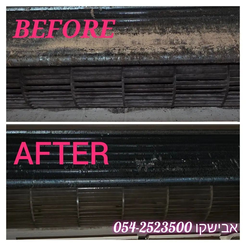 WhatsApp Image 2025-12-30 at 14.22.42